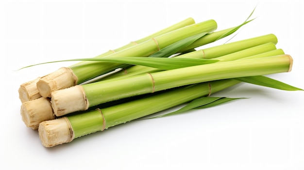 Canne à sucre sur fond blanc