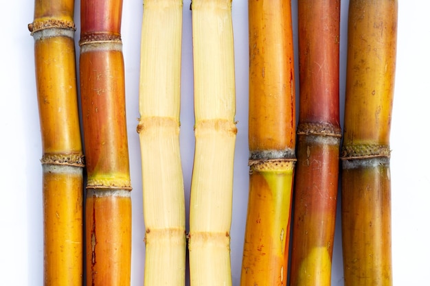 Canne à sucre sur fond blanc