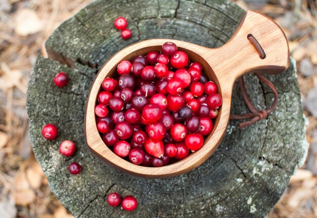 Photo des canneberges rouges fraîches dans un bol en bois dans la forêt d'automne kuks national wooden mug vue d'en haut