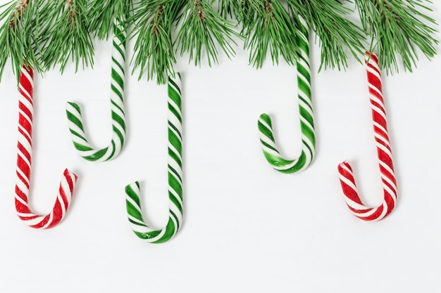 Cannes de bonbon rouges et verts avec sapin de Noël sur fond de béton blanc,