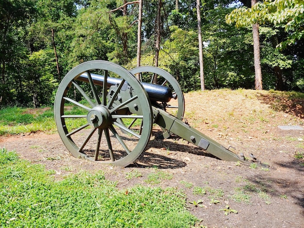 Cannon sur terre contre les arbres dans la forêt