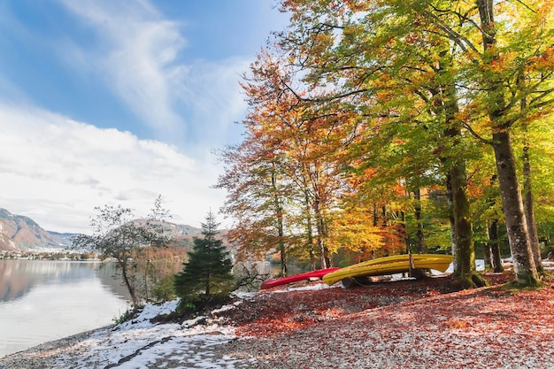 Canoë dans la forêt d'automne au bord du lac de Bohinj en Slovénie
