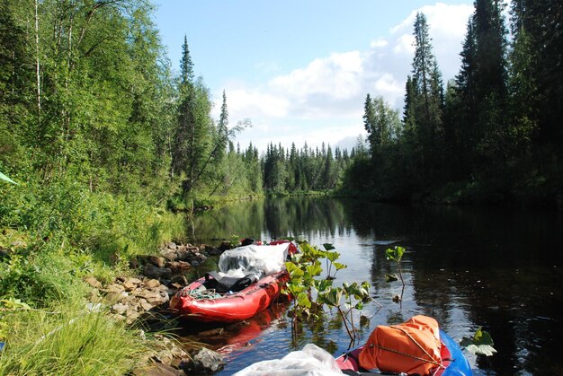 Canoë sur la rivière dans les forêts vierges de Komi