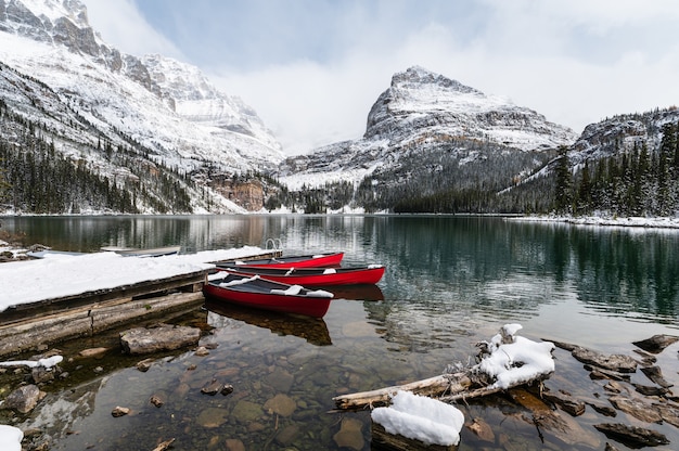 Canoës rouges garés dans la vallée enneigée à la jetée en bois. Lac O'hara, parc national Yoho, Canada