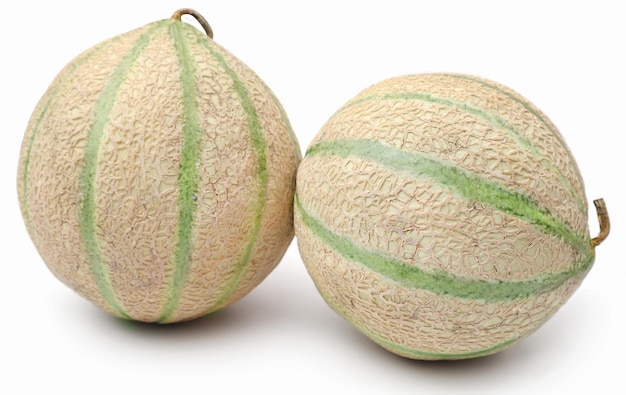 Cantaloup ou melon