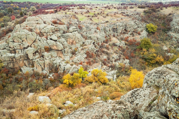 Canyon Aktovsky, Ukraine. Arbres d'automne et gros rochers autour