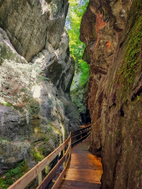 Canyon d'Alploch dans les Alpes autrichiennes