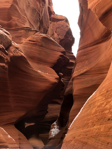 Le canyon des antilopes