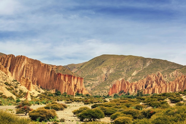 Canyon bolivien près de Tupiza, Bolivie.