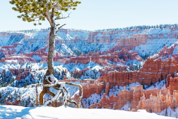 Photo canyon de bryce avec de la neige en hiver.