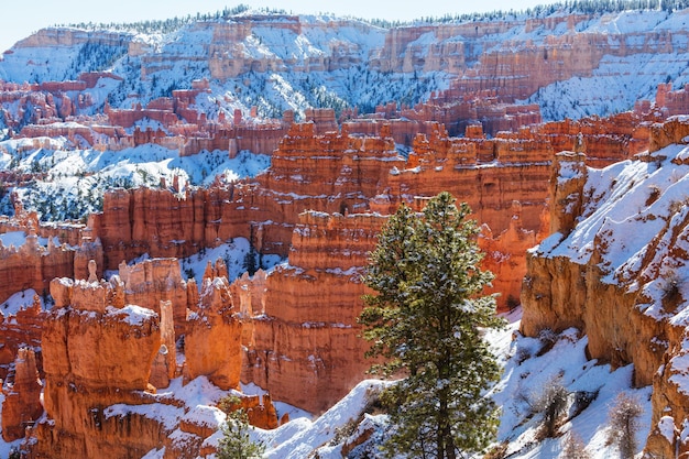 Canyon de Bryce avec de la neige en hiver.