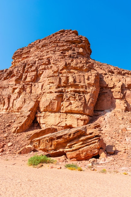Canyon coloré dans la péninsule du Sinaï, belles pierres calcaires incurvées, plantes parmi les pierres