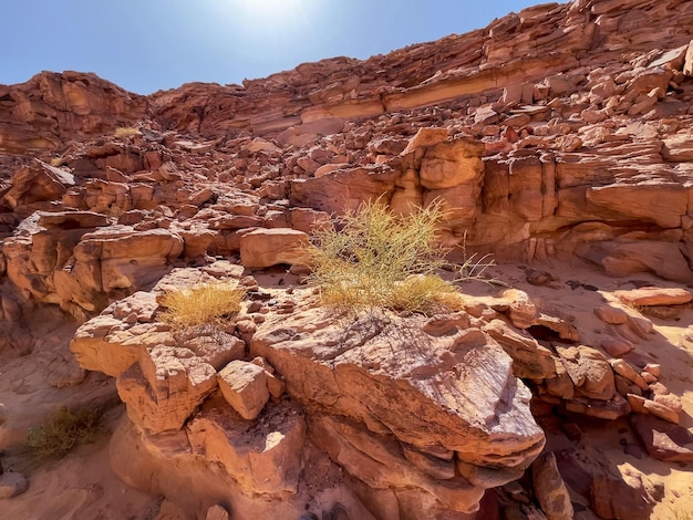 Canyon coloré avec des roches rouges désert égyptien la péninsule du Sinaï Nuweiba Dahab