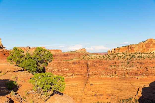 Canyon à Dead Horse State Park, Utah USA