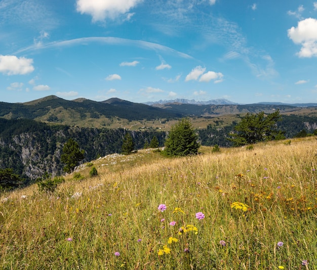 Photo le canyon d'été de tara dans le parc national de durmitor au monténégro