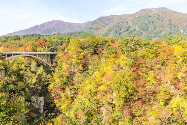 Canyon de Naruko avec feuillage d'automne au Japon