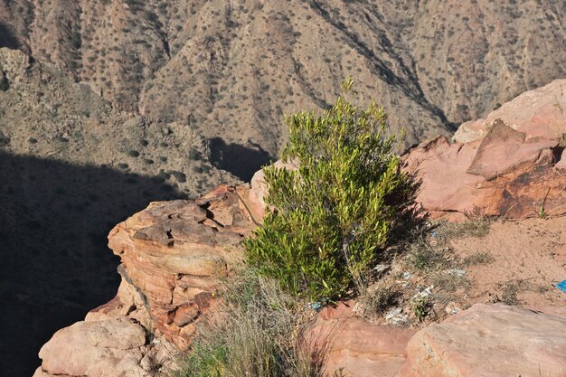 Le canyon de la région d'Asir en Arabie Saoudite