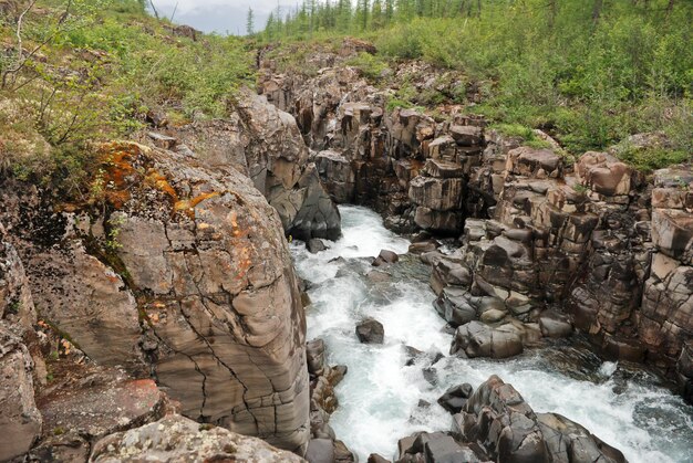 Canyon sur la rivière Le plateau de Putorana