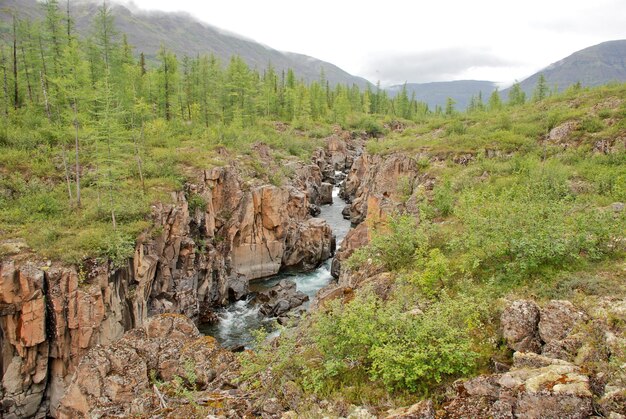 Canyon sur la rivière Le plateau de Putorana