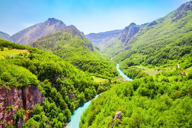 Canyon de la rivière Tara au Monténégro