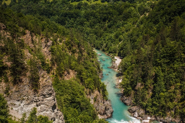 Canyon de la rivière Tara dans les montagnes du Monténégro