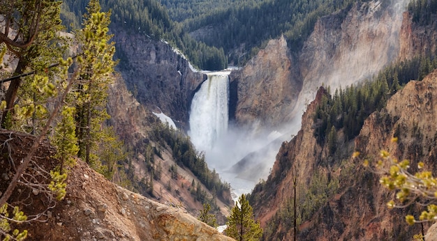 Canyon rocheux et rivière dans le paysage américain grand canyon du yellowstone