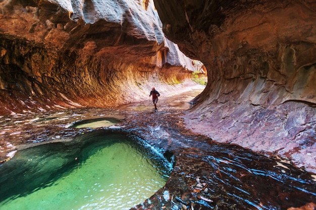 Canyon de Sion