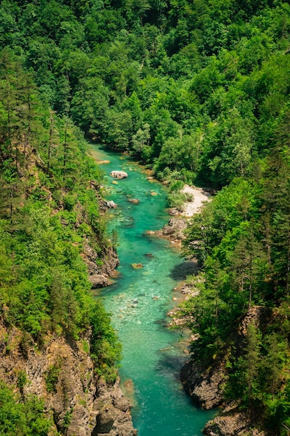 Canyon de Tara Belle vue sur les montagnes verdoyantes Rivière de montagne bleu azur Incroyable photographie d'intérieur avec un paysage paisible