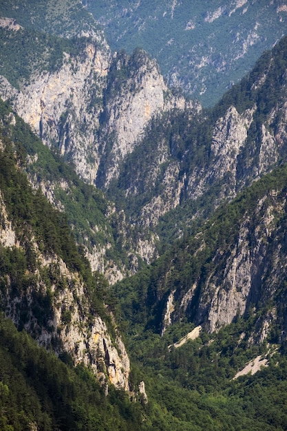 Canyon de Tara d'été en montagne Parc national de Durmitor Monténégro