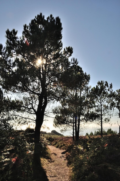 Le Cap d'Erquy sur la côte bretonne