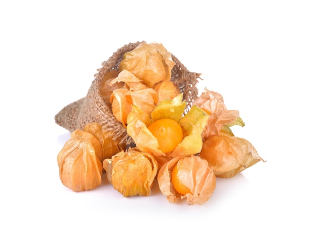 Cape Gooseberry sur mur blanc