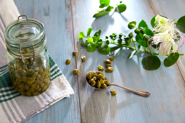 Câpres marinées avec plante et fleur de plante