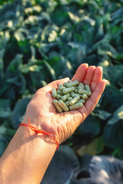 Capsules de sulforaphane sur fond de chou Focus sélectif