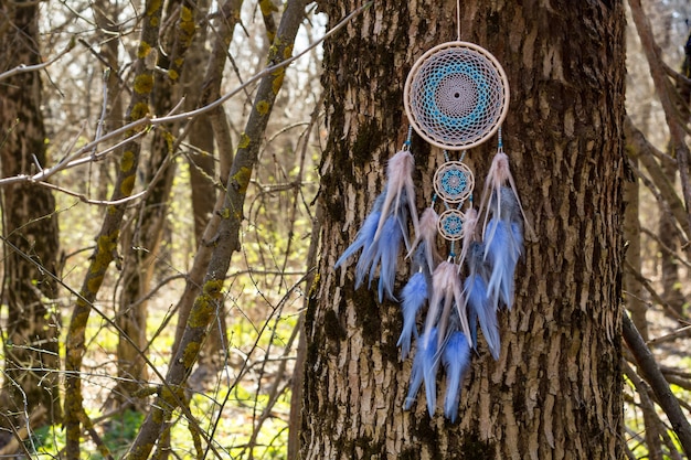 Photo capteur de rêves fait main avec des plumes