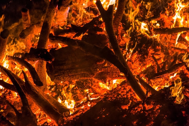 Capture complète d'un arbre en feu la nuit