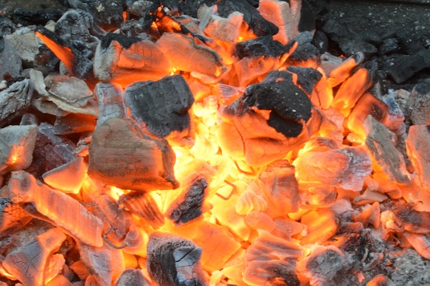 Capture complète du feu de joie