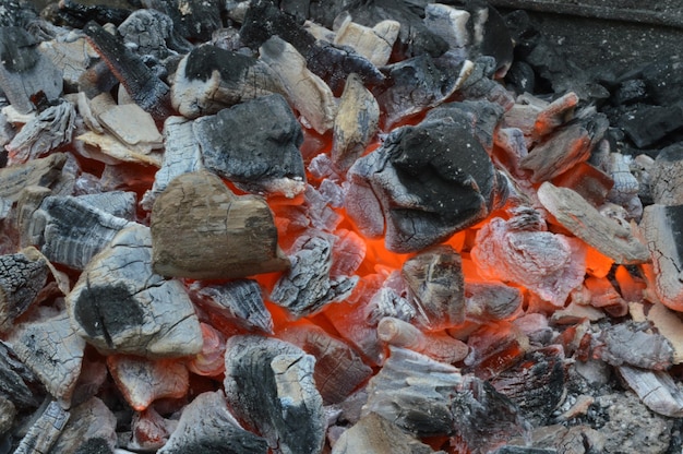 Capture complète du feu de joie