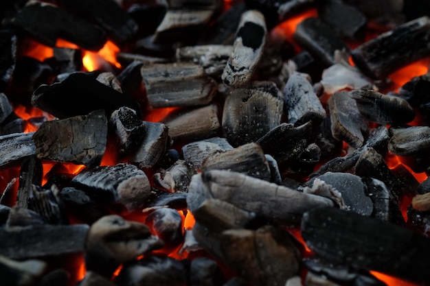 Capture complète du feu de joie