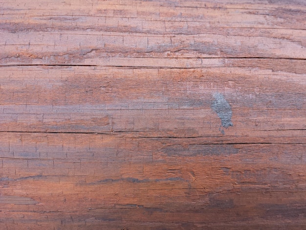 Capture complète du mur en bois