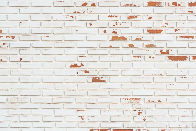 Capture complète du mur de briques