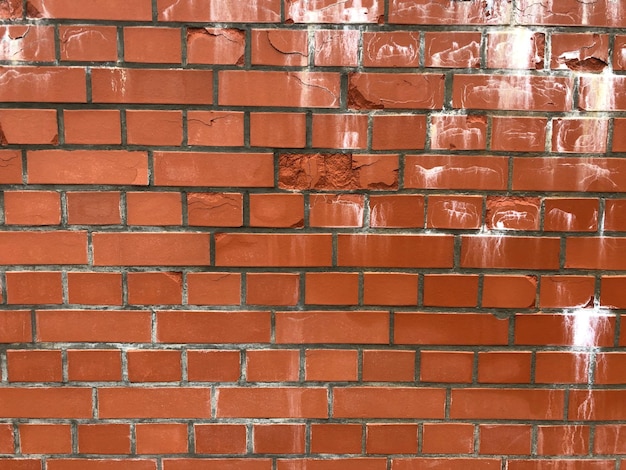 Photo capture complète du mur de briques