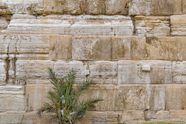 Photo capture complète du mur de pierre