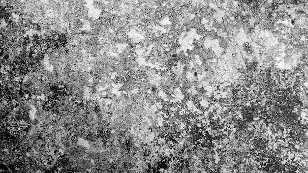 Capture complète du mur