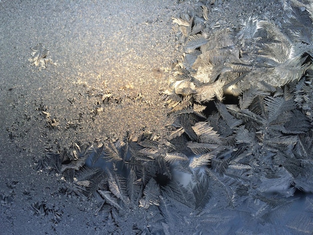 Capture complète d'une fenêtre en verre avec du gel