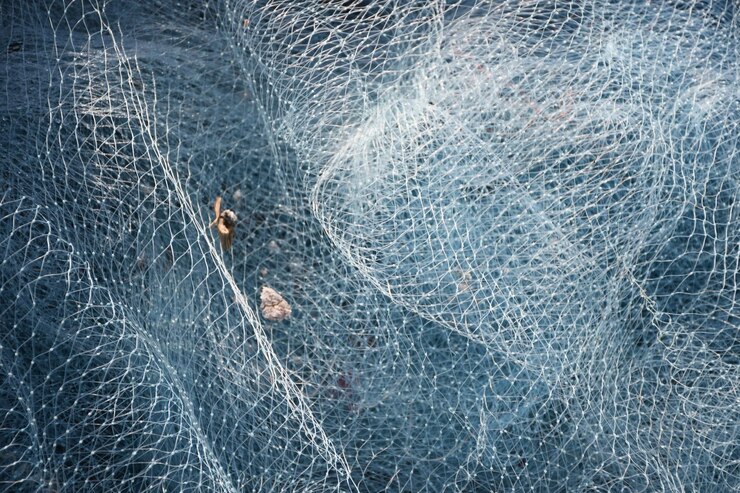Photo capture complète d'un filet de pêche en mer
