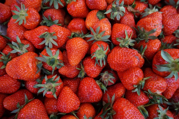 Capture complète de fraises fraîches à vendre au stand du marché