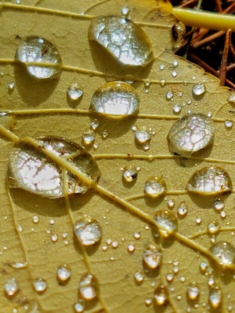 Photo capture complète des gouttes de pluie sur l'eau