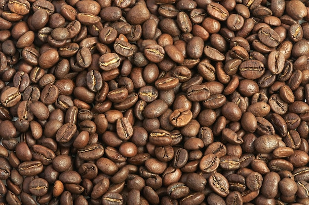 Capture complète des grains de café