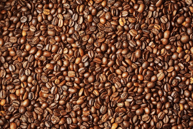 Capture complète des grains de café