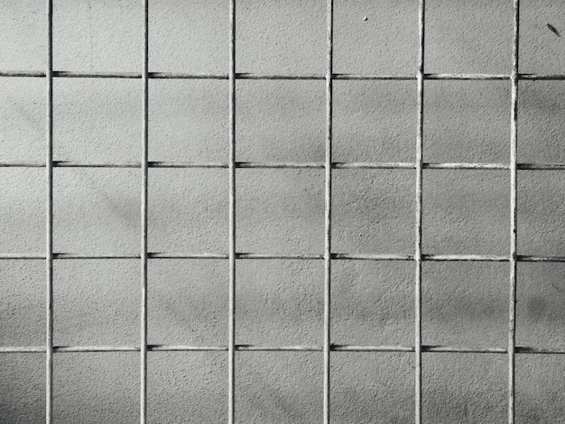 Capture complète de la grille métallique